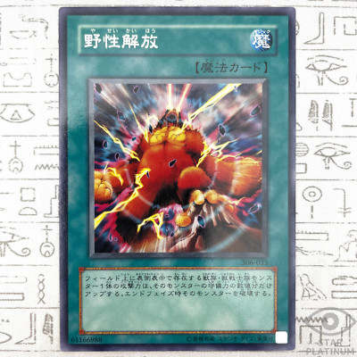 Wild Nature's Release Rare 306-033 Japanese Vintage YuGiOh Card - EX