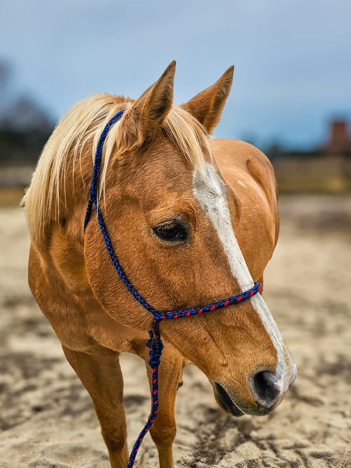 Soporte de cuerda trenzada Paracord de lujo con plomo Foto 3 de 4