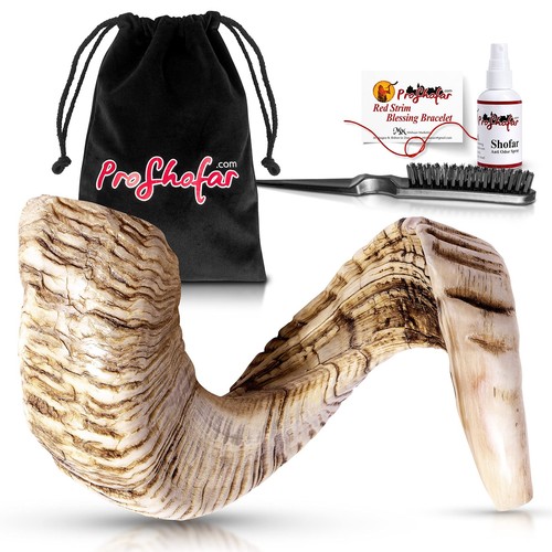 Natural Jericho Shofar Set From Israel - Natural - Traditional Ancient Musica...