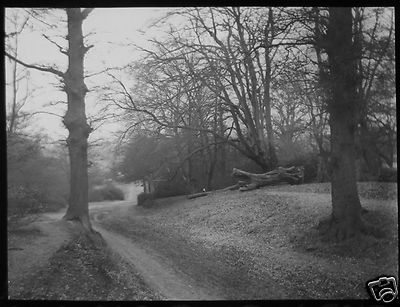 Glas magische Laterne Dia ALTE STRASSE BEI FAIRMEAD EPPING FOREST UM 1890 FOTO ESSEX 