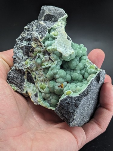 Amazing Wavellite - Fantástico Stock Antiguo - Mauldin Mountain, Arkansas, Roble - Imagen 10 de 13
