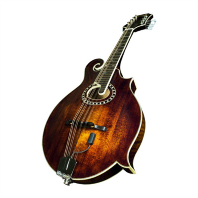 LR Baggs Radius Mandoline Pick Up
