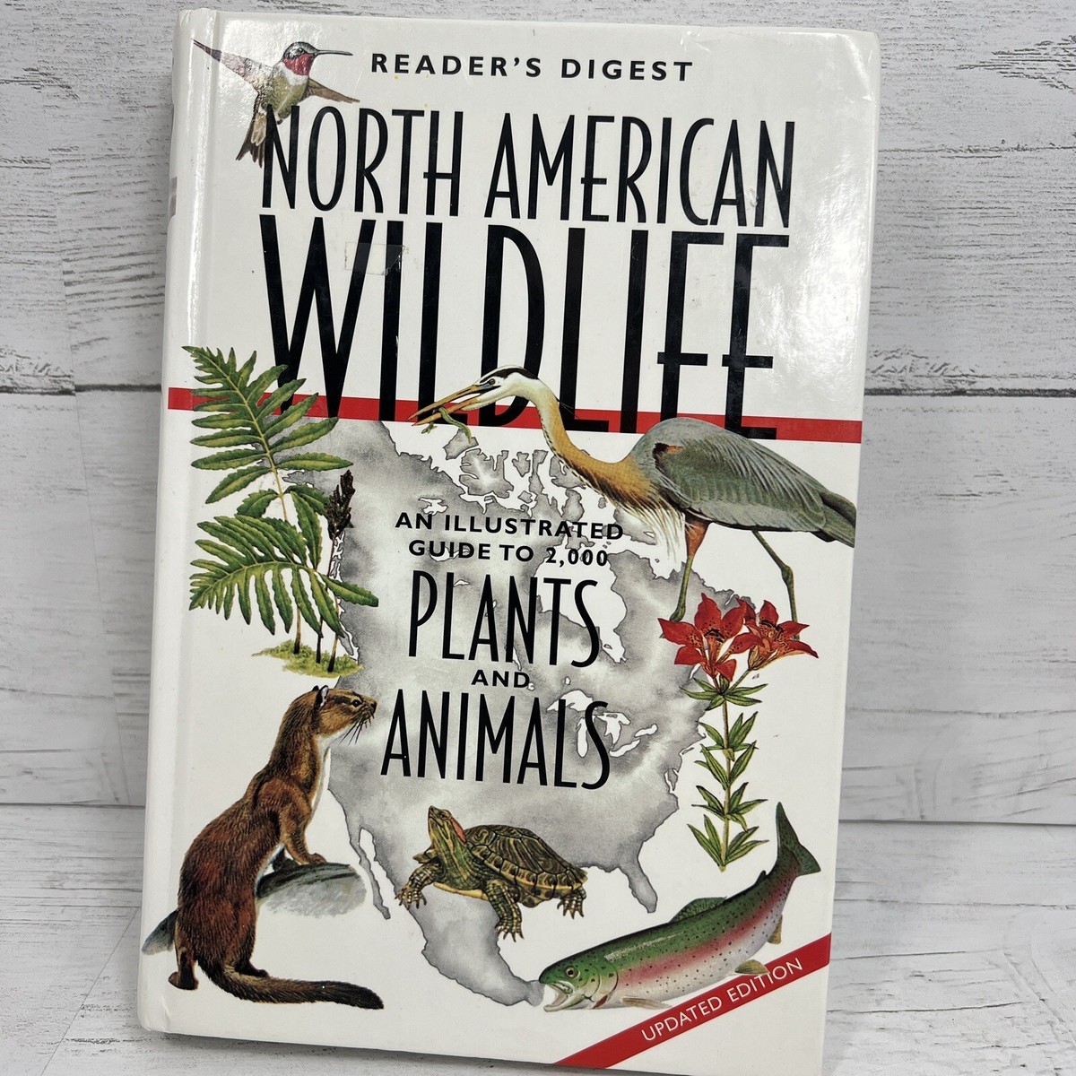 North American Wildlife An Illustrated Guide 2,000 Plants Animals