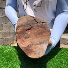 20.7LB Natural wood fossil quartz crystal mineral specimens healing — photo 8