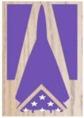 AIR FORCE GENERAL DYNAMICS F-111 AARDVARK AWARD SHADOW BOX MEDAL DISPLAY CASE 