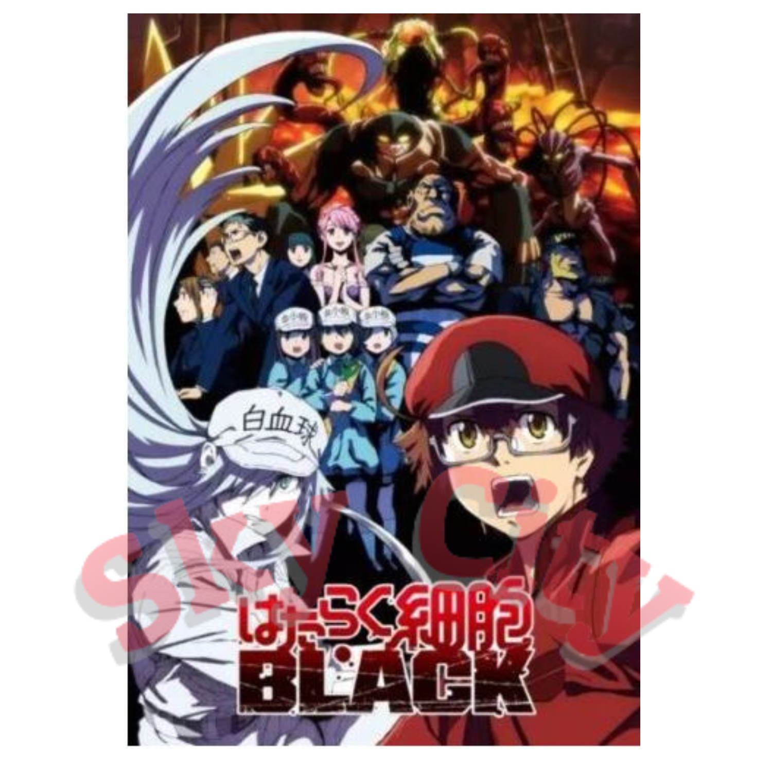 Hataraku Saibou Season 1 2 Black OVA Japanese Anime DVD for sale