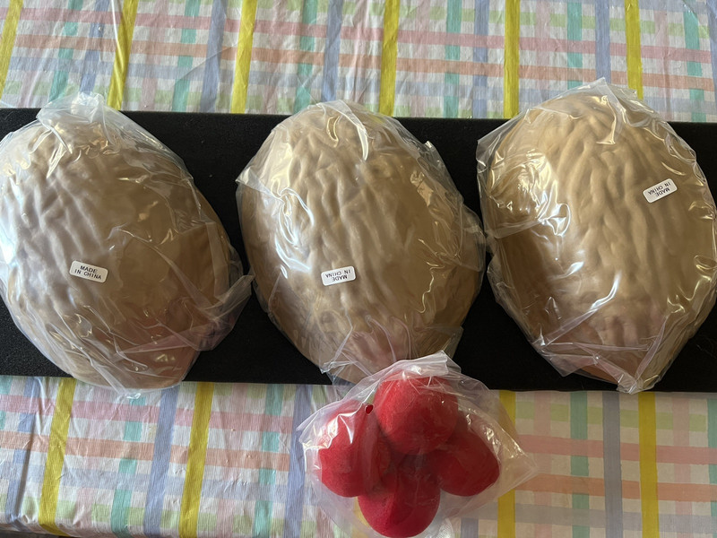 Giant 3 shell game 3 large Nuts and 4 Red Balls  NEW