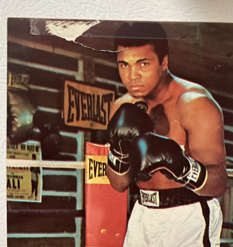1973 Everlast Muhammad Ali Promotional 10x4.75” Advertisement Of Poster Boxing - Picture 2 of 5