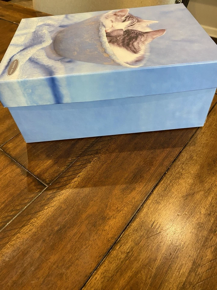 Caja de almacenamiento de recuerdo de cartón foto vintage de Rachael Hale azul gatitos gatos Foto 3 de 4