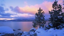 Landscape trees winter snow Custom Gaming Mat Desk