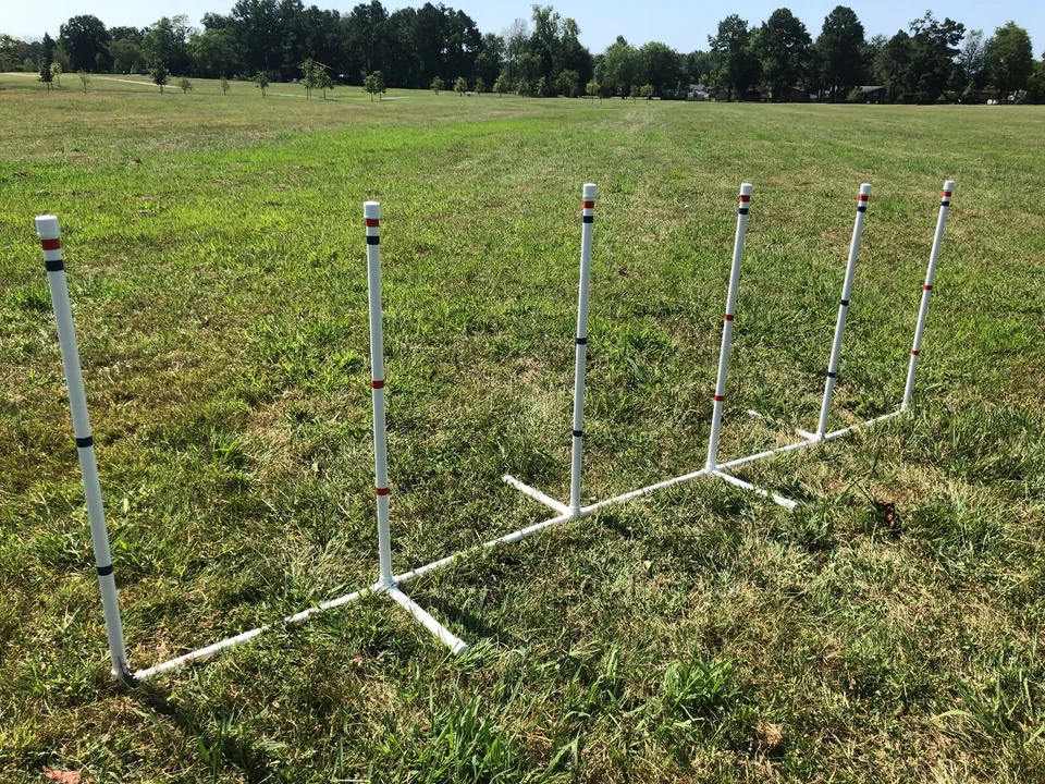 Equipo de agilidad para perros 6 postes de tejido sobre base de PVC ENVÍO GRATUITO A EE. UU. Foto 2 de 4