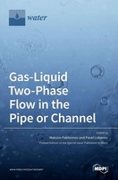 Maksim Pakhomov | Gas-Liquid Two-Phase Flow In The Pipe Or Channel | Buch (2022)