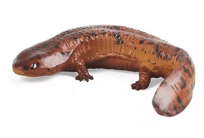 Salamander Fish Toy Action Figure Small Animal Figurine Doll Gift for Kids
