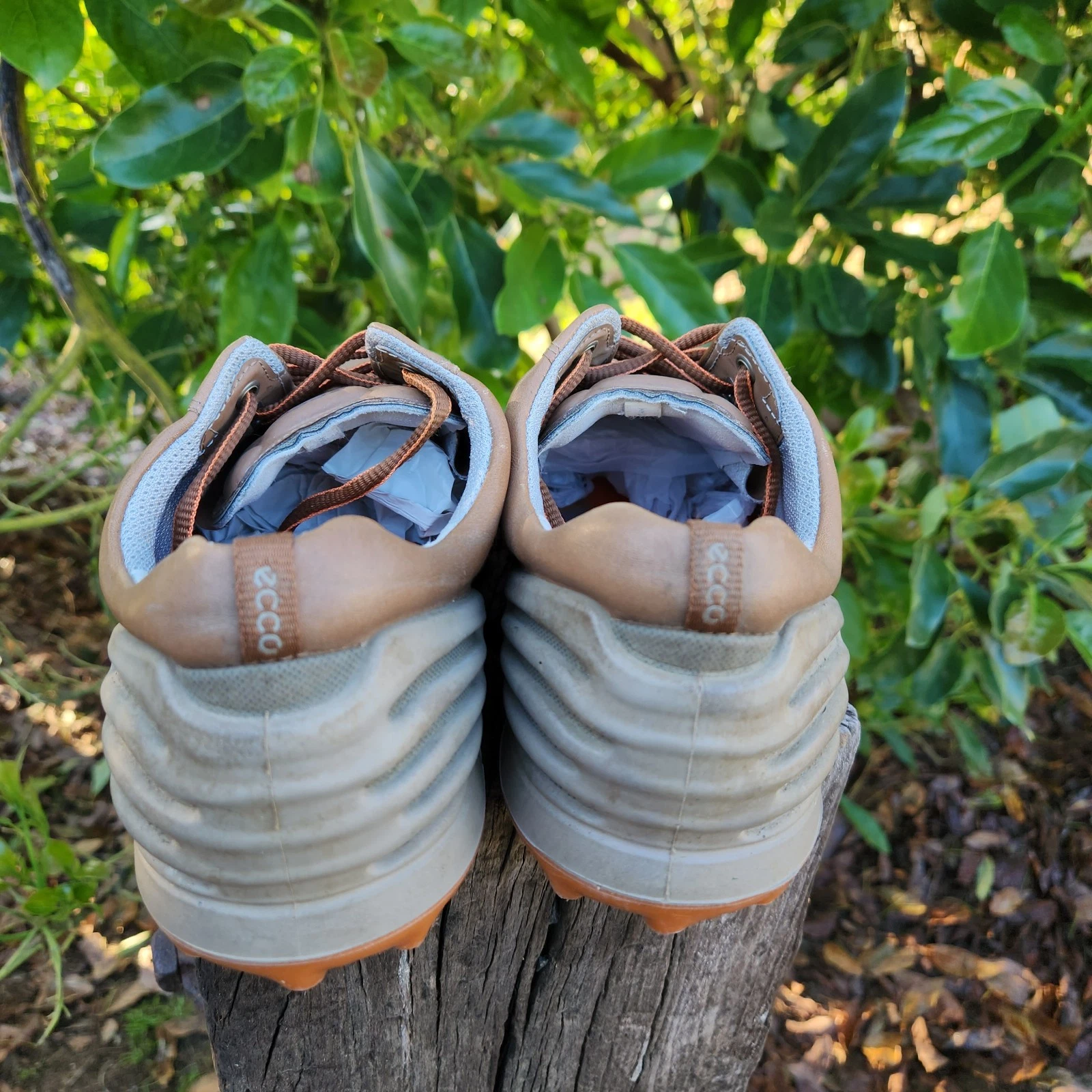 Scarpe da golf Ecco Hydromax 42 (US 8 8.5) in pelle marrone senza punte