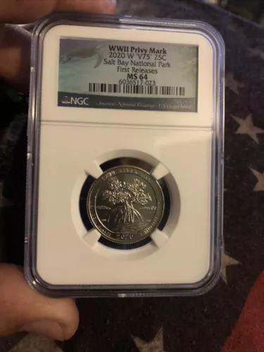 2020 W V75 Quarter 25c .25 NGC MS64 Salt Bay National Park WWII Privy Mark