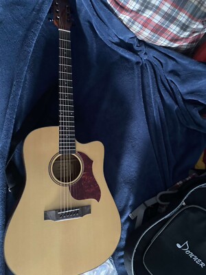 acoustic guitar