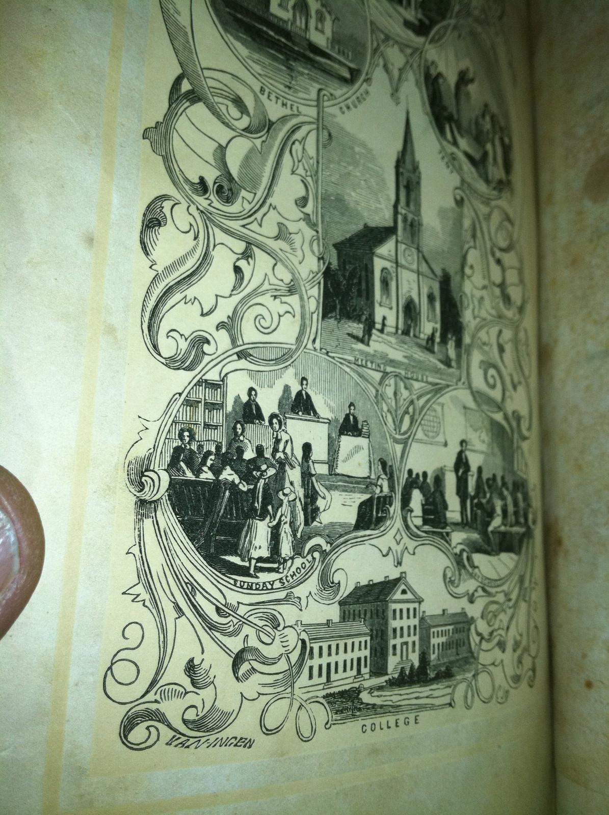 Picture 6 of 6
