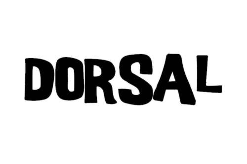DORSAL Surfboard Flossen Longboard Twin 2 oder Quad Front Set FCS kompatibel - Bild 3 von 4