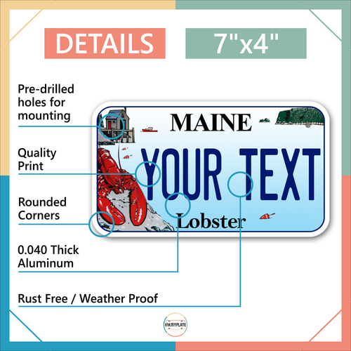 Custom state License Plates with personalized text Car 12x6- Moto 7x4 - Bike 6x3 - Picture 220 of 570
