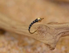 Tungsten BH Black Zebra Midge Nymph Fly - 1 Doz Flies - Mustad Signature Hooks