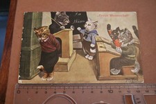 tolle alte  Künstlerkarte - Katzen in der Sc...