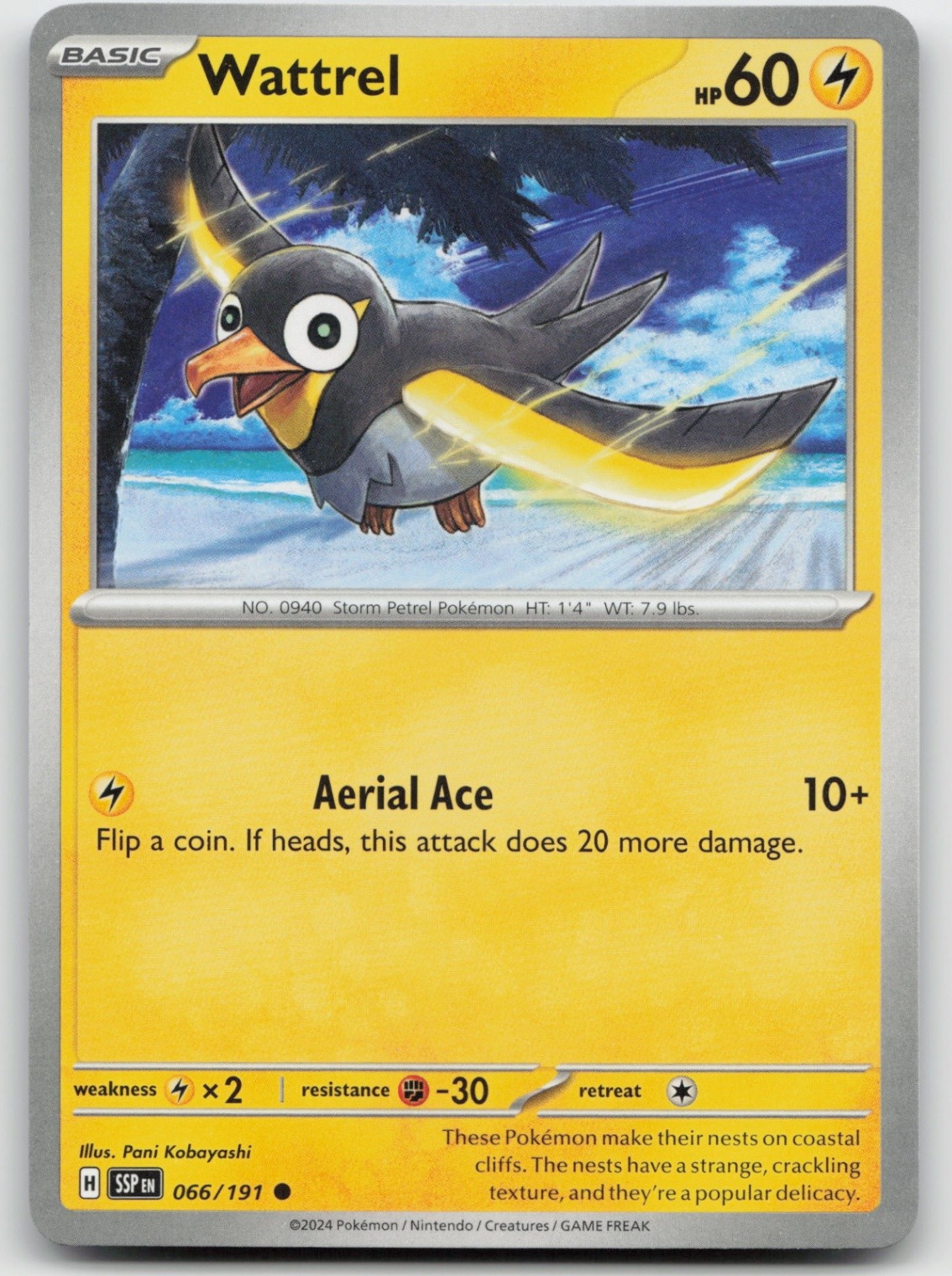 Pokemon Wattrel Common SV08: Surging Sparks 066/191 LP