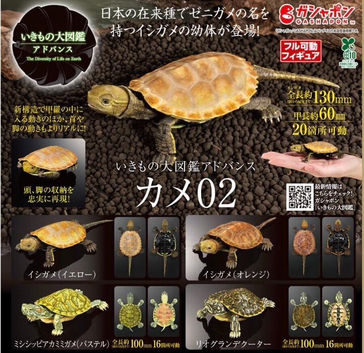 Photo 2/10