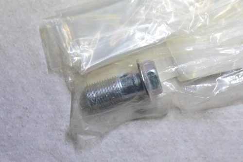 BOLT (10X1.00X22)