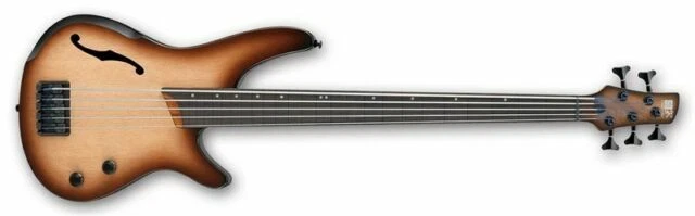 5 String Bass Guitars