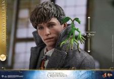 New Hot Toys1/6 MMS512 Fantastic Beasts:The Crimes of Grindelwald-Newt Scamander