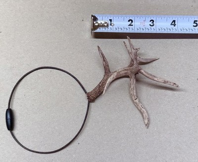 Non-Typical Antler Whitetail Deer 3D Printed Mirror Hanger.  Scan From Shed!! #2