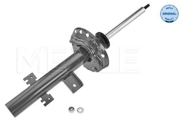 StossdÄMpfer Hinterachse Rechts FÜR Land Rover - Meyle 53-26 723 0005-image
