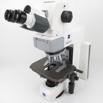 ZEISS AXIO SCOPE A1 MICROSCOPE W/ ERGO HEAD & M27 10X/40X/100X OBJECTIVES