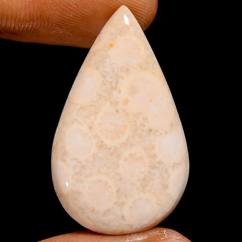 100 % natürliche fossile Koralle Birnenform Cabochon Edelstein 27 kt 31 x 18 x 6 mm GC-42574