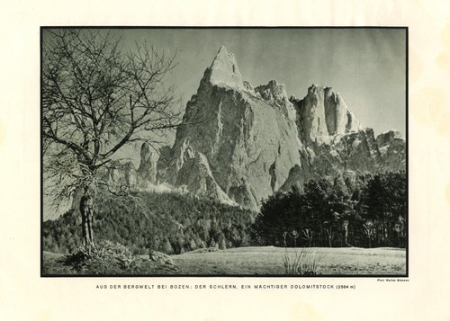 Der Schlern bei Bozen XL 1930 Foto Illustration von W. Niessen Italien