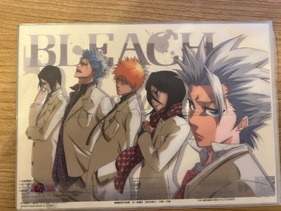 Bleach Clear Soul Plate Ichigo Rukia Anime Acryl Bild Bandai Original Japan