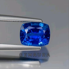 Natural Blue Sapphire 9.7 Ct+ 11x9mm Cushion Cut – Vivid Ocean Blue Gem