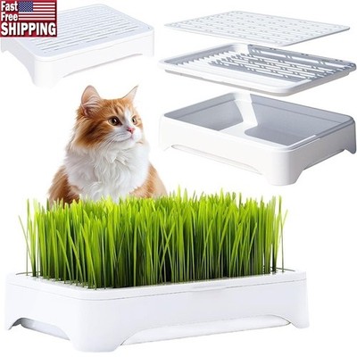 Cat Grass Growing Kit Detachable Sprouts Tray Anti-Digging Design Happy Cats New