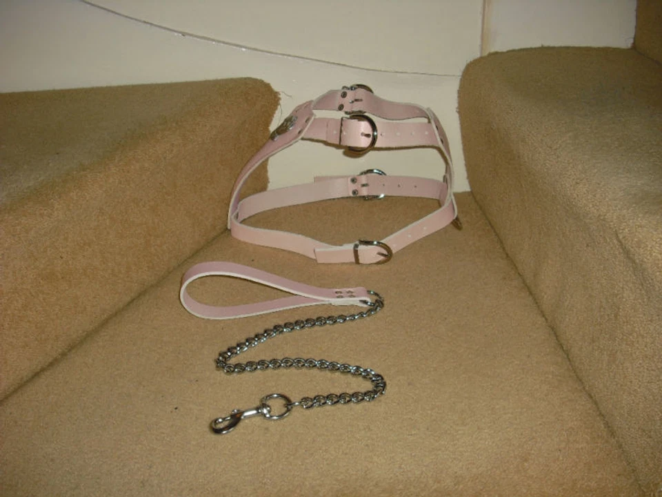 PINK  PADDED LEATHER DOG HARNESS FOR STAFFY WITH LEAD BRAND NEW - Image 3 of 4