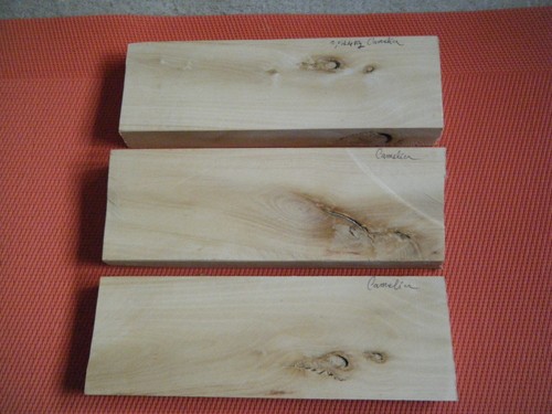 Plaquettes Amarante 125x30x6mm – Bois Précieux Violet – Idéal Tournage Stylos, Coutellerie, Lutherie, Bijouterie & Sculpture (Paire)
