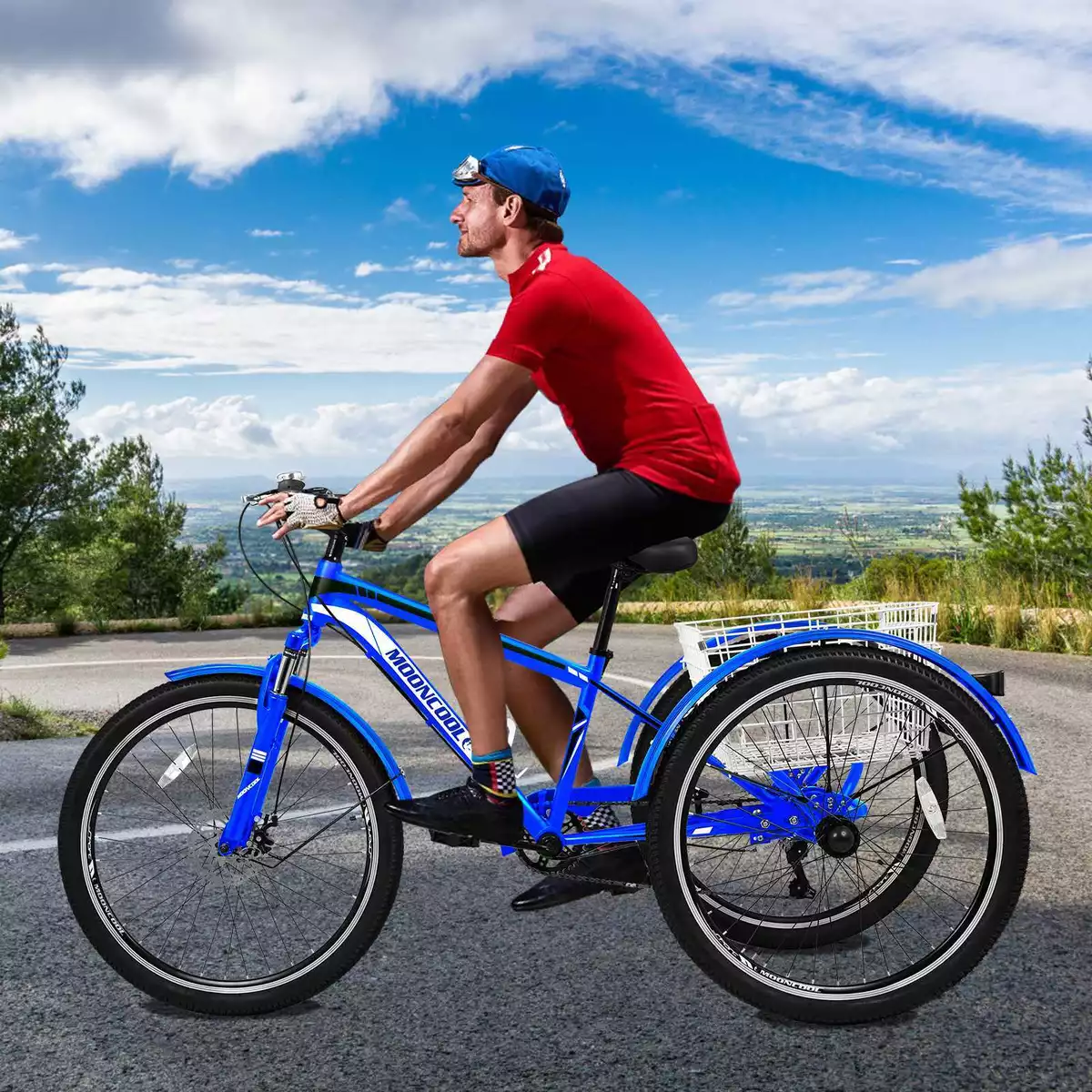 Men's trike on sale bikes