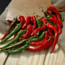 100 Heirloom Zero Heat Cayenne Pepper Seeds – Sweet Zero SHU Chili Seeds Non-GMO
