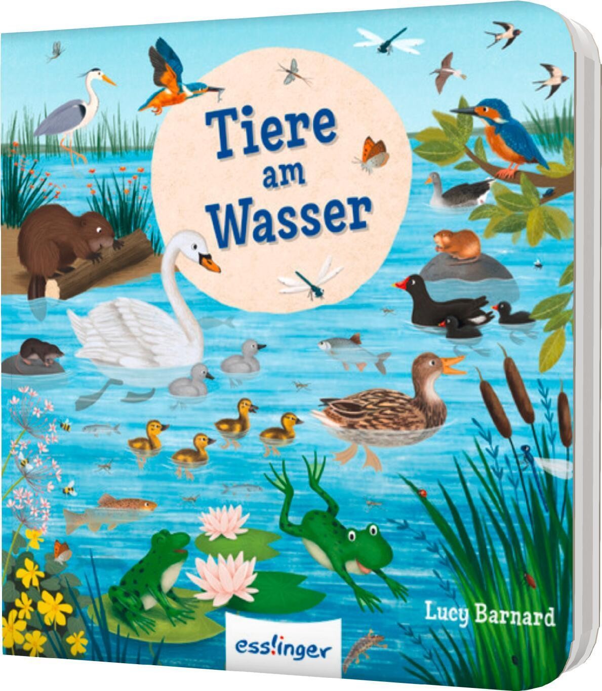 Mein erstes Natur-Wimmelbuch: Tiere am Wasser – Mini-Ausgabe: mit Bild-Wort-Leiste - Bild 2