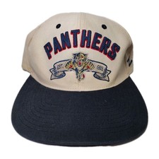 Florida Panthers Adult Snapback Hat Zephyr Spell Out Panthers Logo NHL