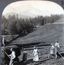 Germany ~ BAVARIA ~ Making Hay In The Highlands Stereoview 10376 ve388b fx