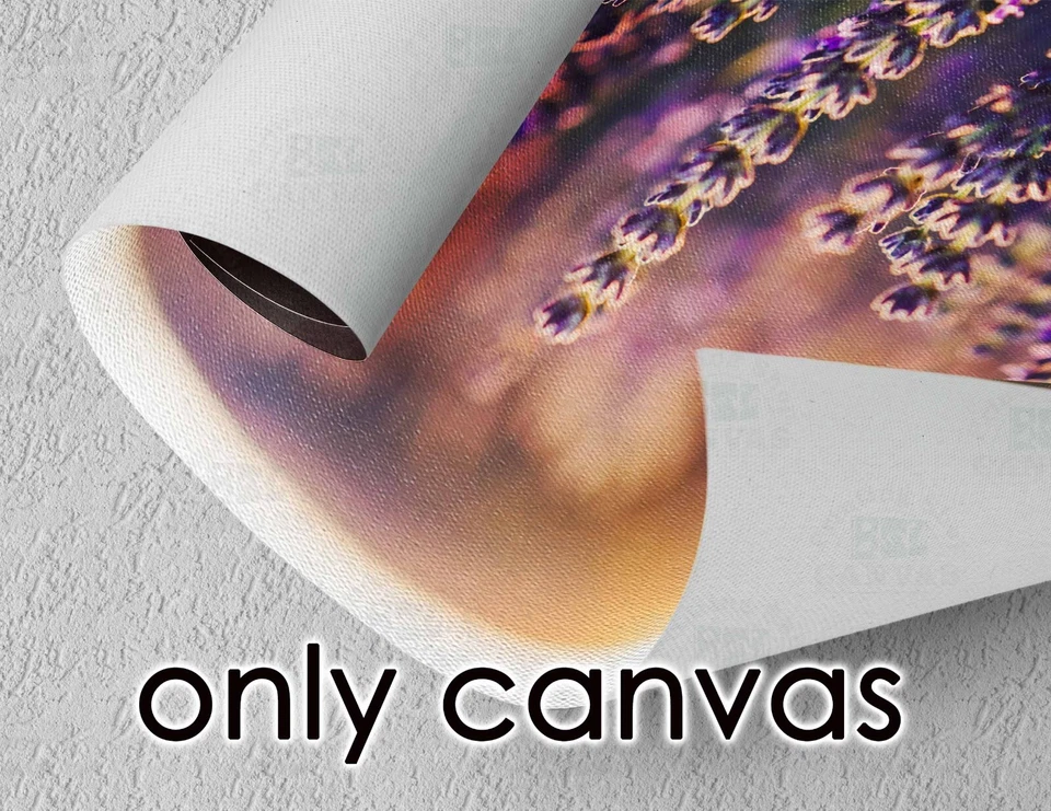 Gustav Klimt Lady with a fan 1917-1918 Reproduction canvas or poster art print - Image 4 of 4