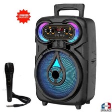 Haut-parleur enceinte Bluetooth avec microphone micro portable karaoke