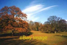 Photo 6x4 Autumn colour in Homend Park Stretton Grandison View north-east c1998
