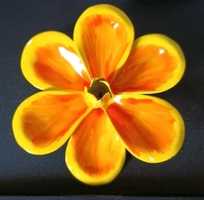Large Vintage Retro Enamel Yellow & Orange Pin/Brooch, A Beauty!