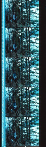 Twilight 35mm Film Cell strip very Rare var_e - Imagen 43 de 98